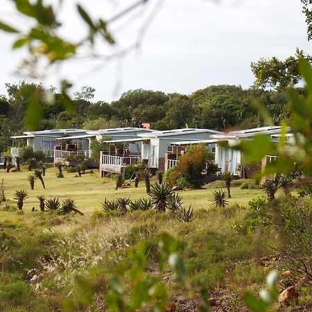 Stoneyvale Cottages Grahamstown Bagian luar foto