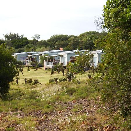 Stoneyvale Cottages Grahamstown Bagian luar foto