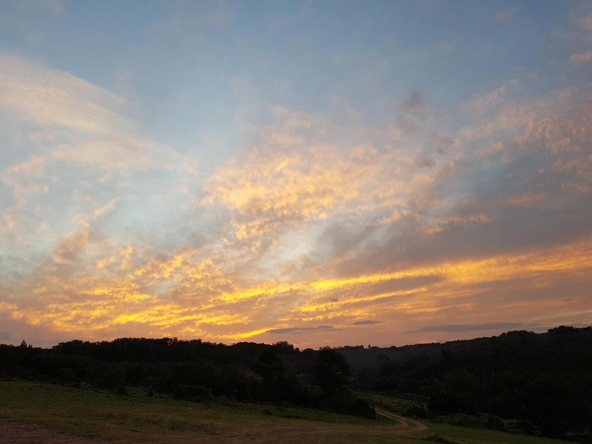 Stoneyvale Cottages Grahamstown Bagian luar foto