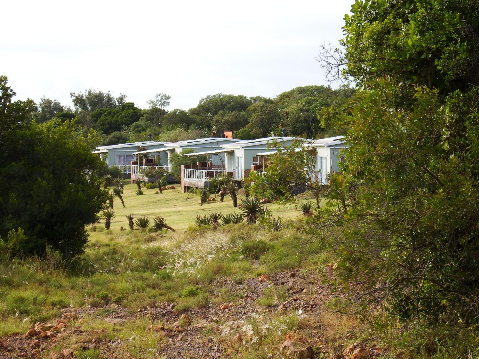 Stoneyvale Cottages Grahamstown Bagian luar foto