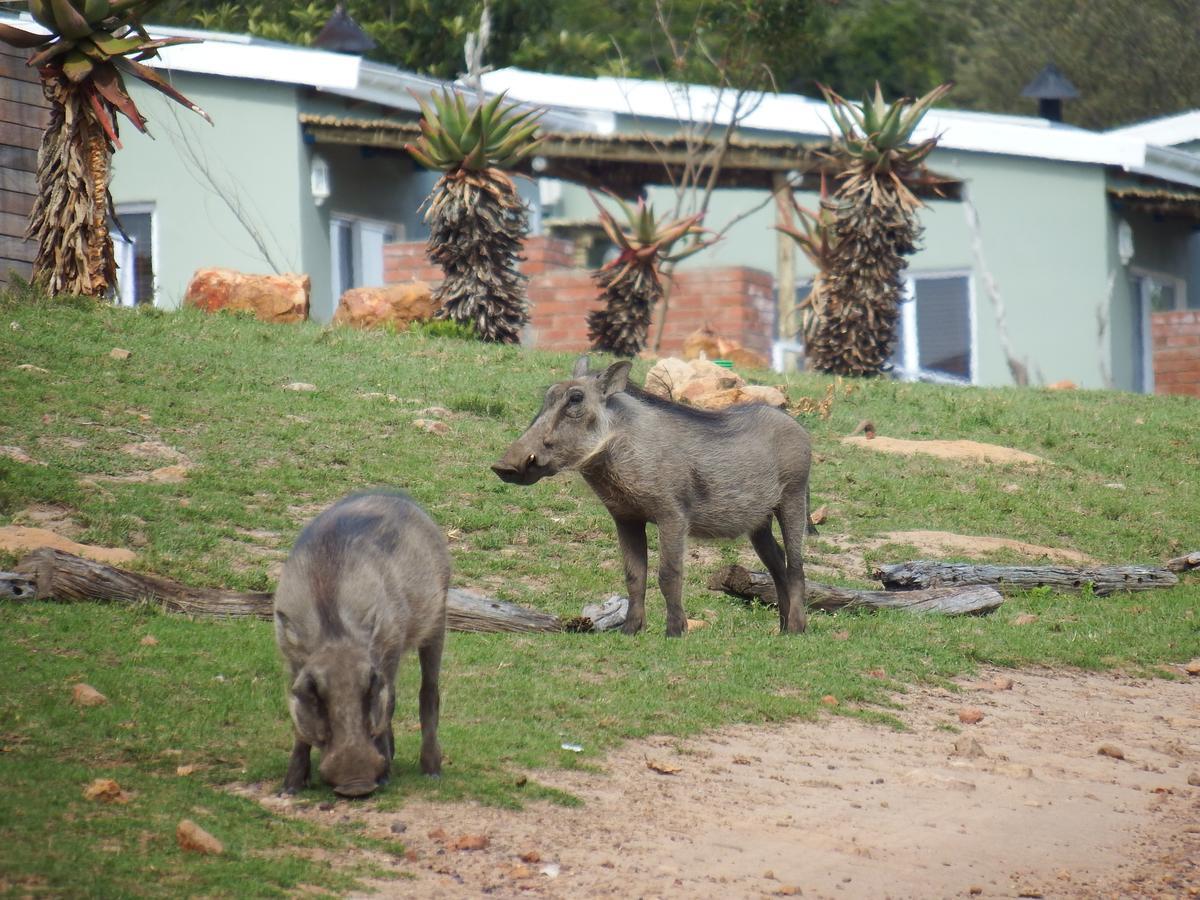 Stoneyvale Cottages Grahamstown Bagian luar foto